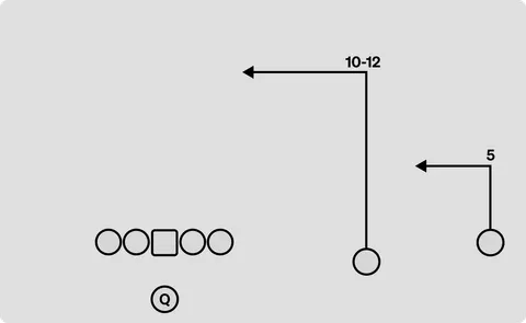Bash diagram
